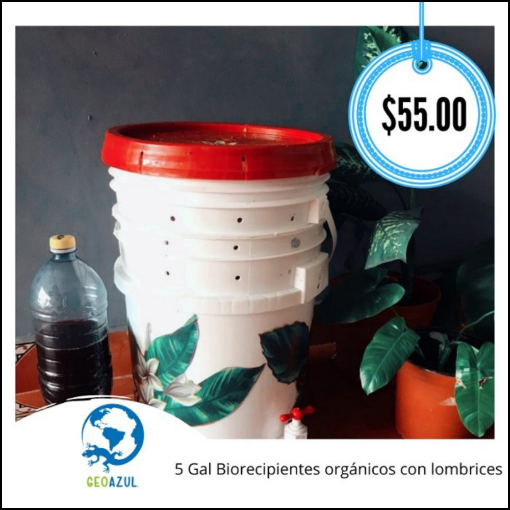 Biorecipientes